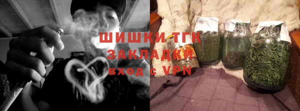 мдпв Богородицк