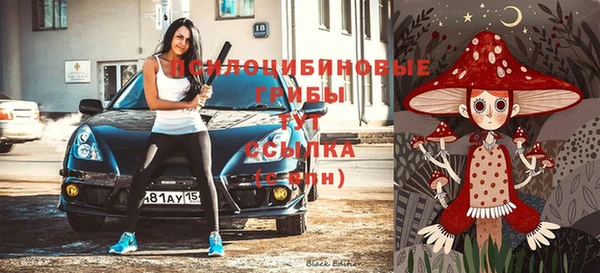 тгк Богородск