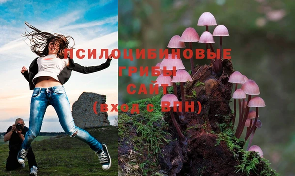 бутират Богданович