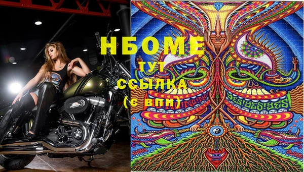 мдпв Богородицк