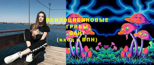 бутират Богданович