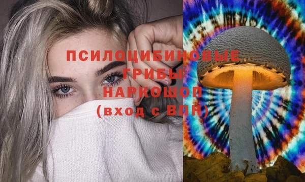 тгк Богородск