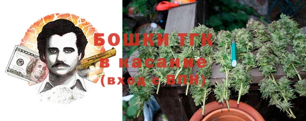 мдпв Богородицк