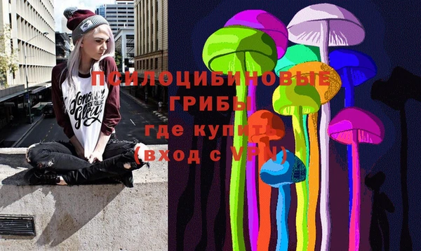бутират Богданович