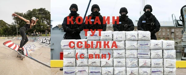мдпв Богородицк