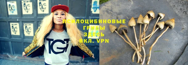 бутират Богданович