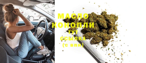 мдпв Богородицк