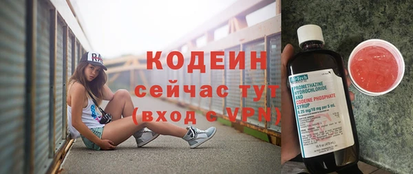 бошки Снежногорск