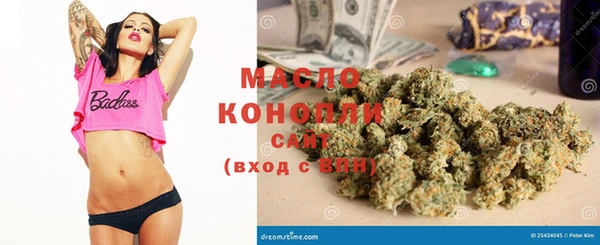 мдпв Богородицк
