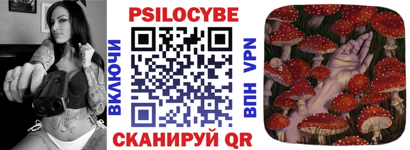 Псилоцибиновые грибы прущие грибы  Малая Вишера 