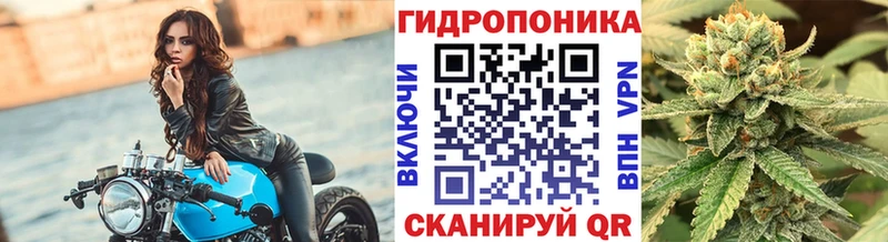 Конопля семена  ссылка на мегу как зайти  Малая Вишера 